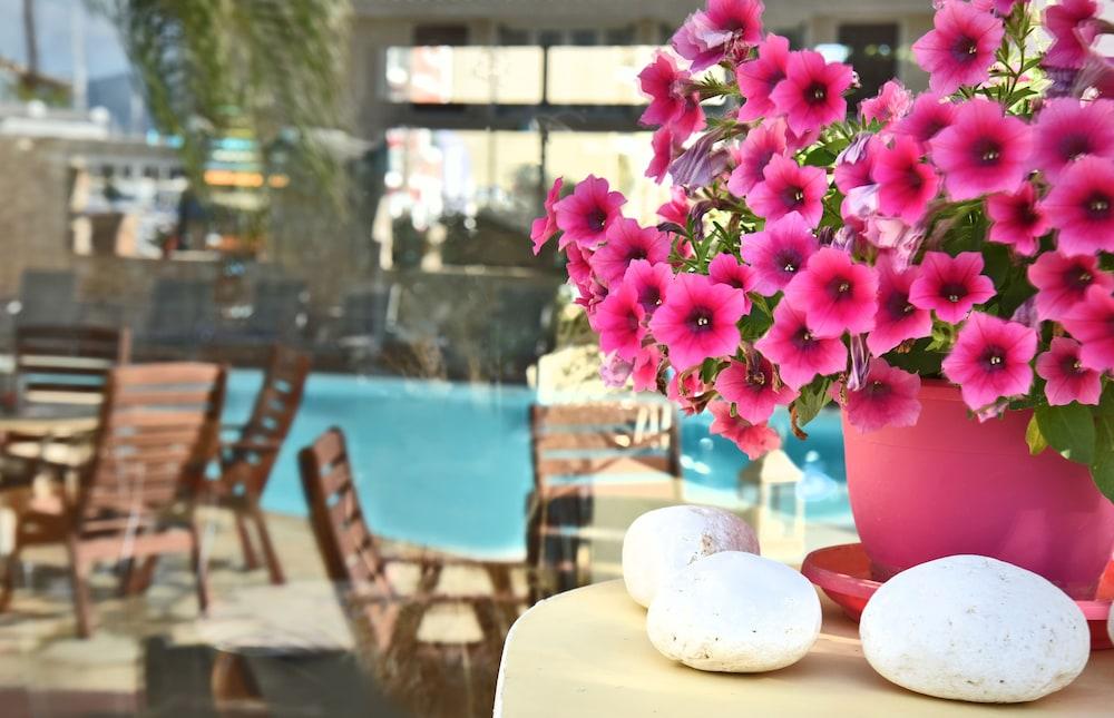 Ionion Star Hotel Lefkada City Exterior photo